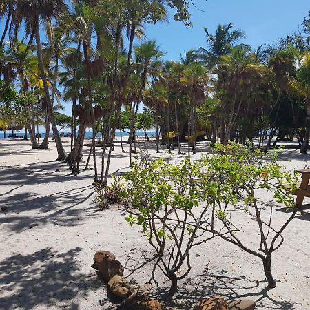 Wild Orchid Ξενοδοχείο Placencia Εξωτερικό φωτογραφία