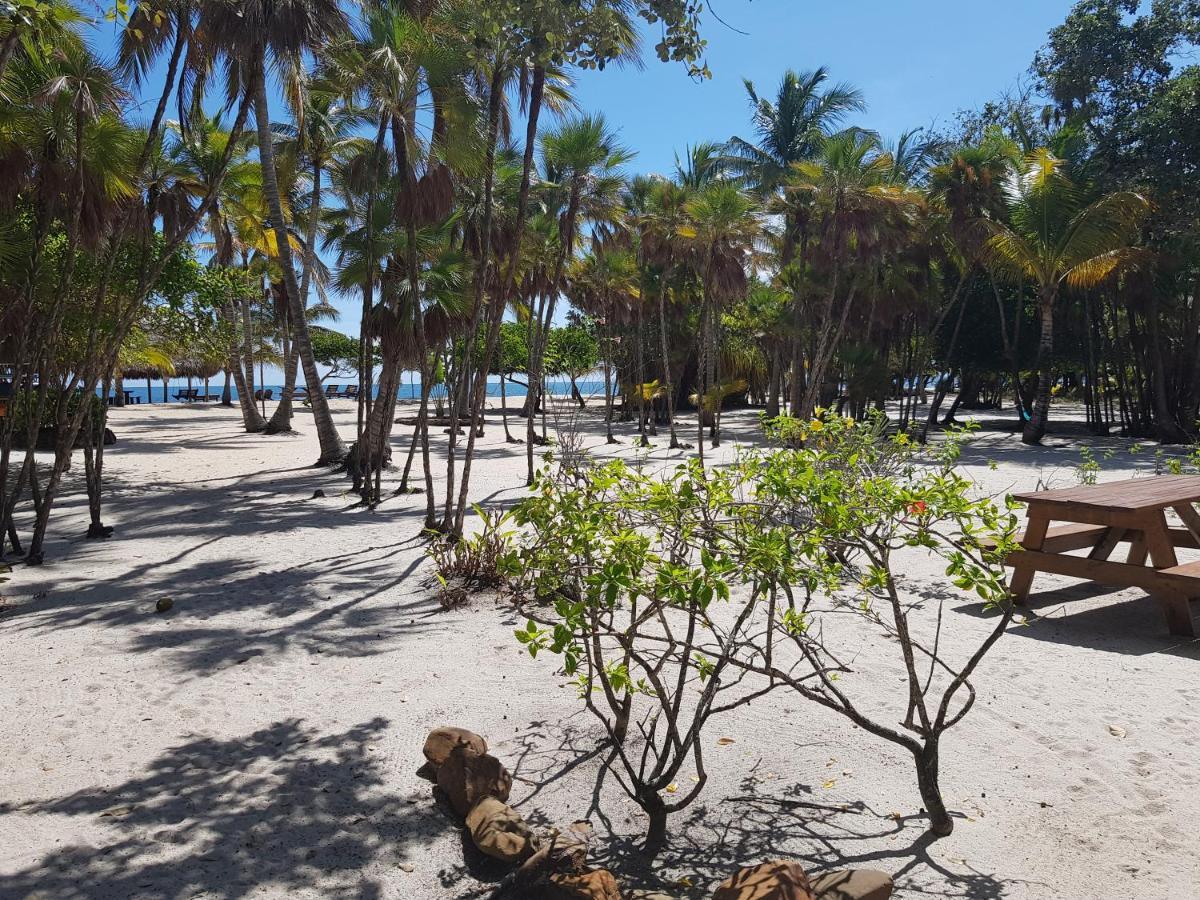 Wild Orchid Ξενοδοχείο Placencia Εξωτερικό φωτογραφία